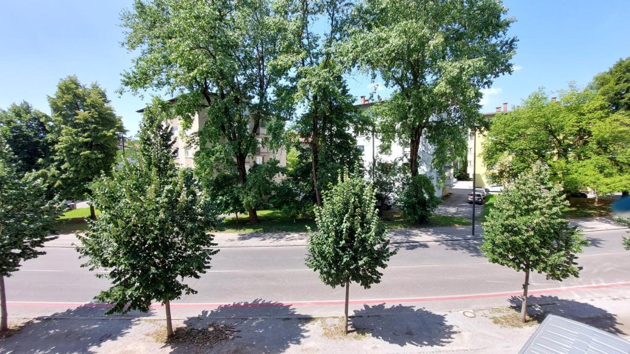 Cozy, Bright And Affordable Studio W/ Free Parking Laibach Exterior foto